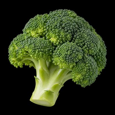 Broccoli