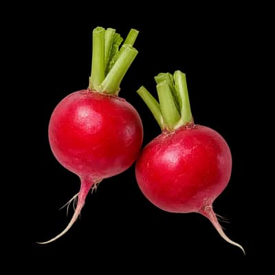 Radishes