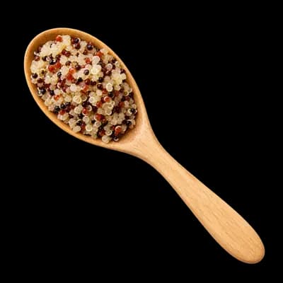 Spoon of quinoa